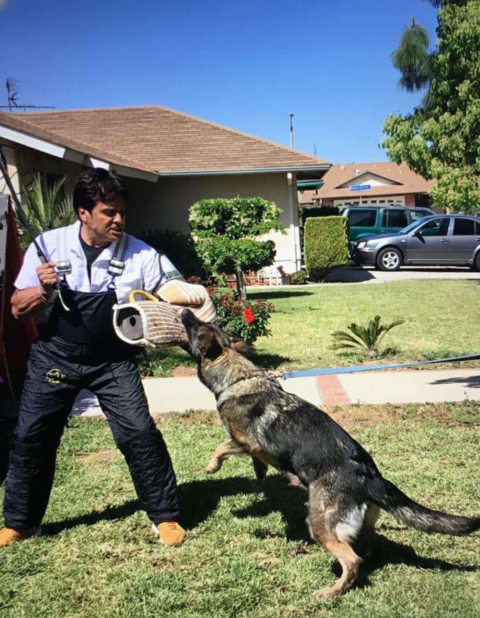 Support our K-9's